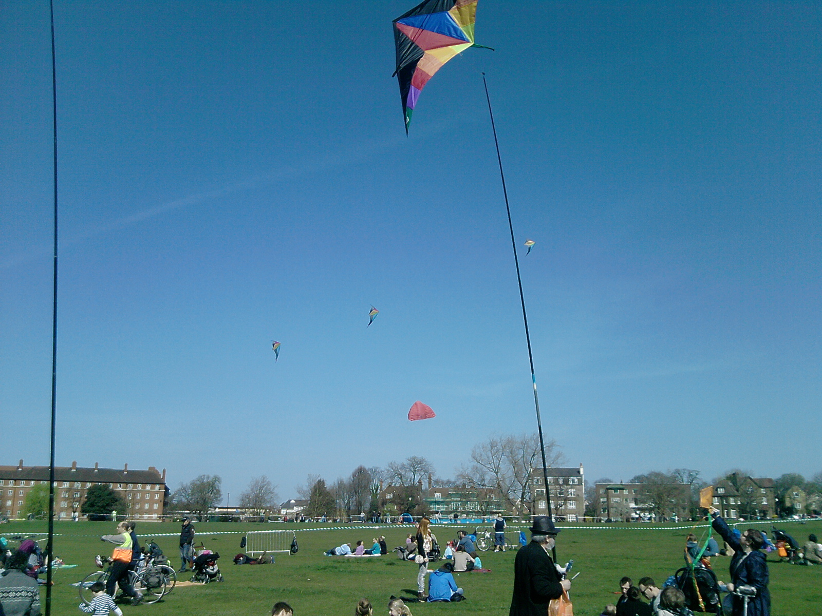 Streatham Common Kites | Hachette UK